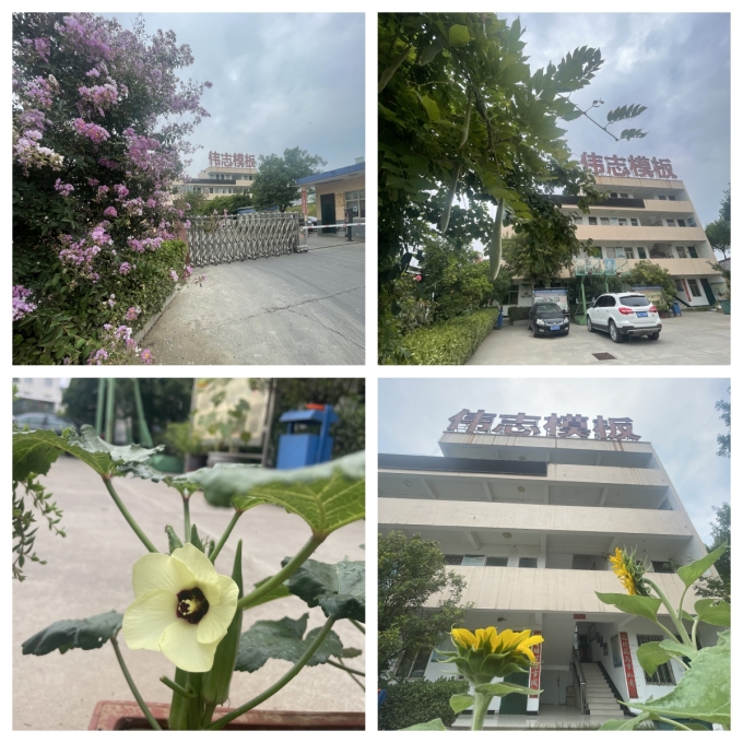 夏至來(lái)臨，期待美好