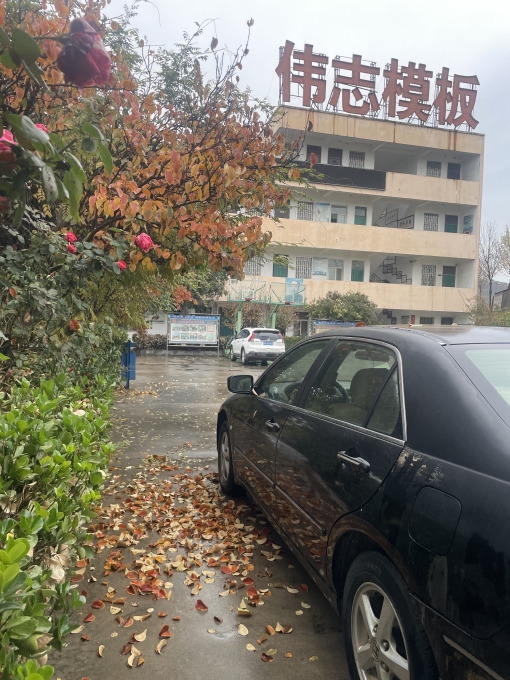 偉志模板溫馨提示：注意大風降溫天氣！